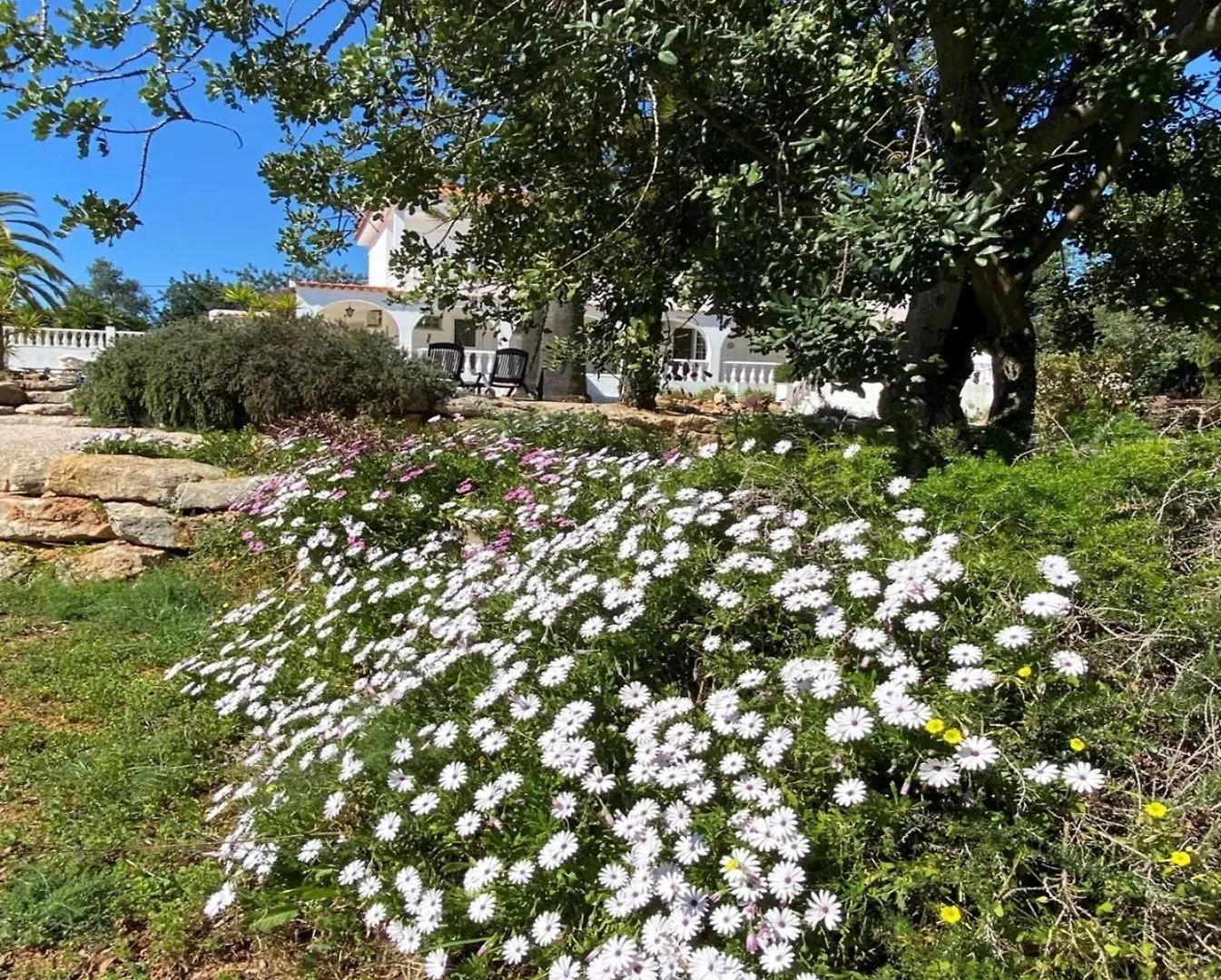 Studio De La Casa Paraiso Avec, En Plus, Une Terrasse Privative Exterieure Semi Couverte Equipee D'Un Salon D'Un Coin Repas D'Une Kitchenette, La Grande Piscine Et Les Jardins Sont Partages, A Proximite Des Plages De Fuseta Et De La Ria Formosa Moncarapacho Holiday home