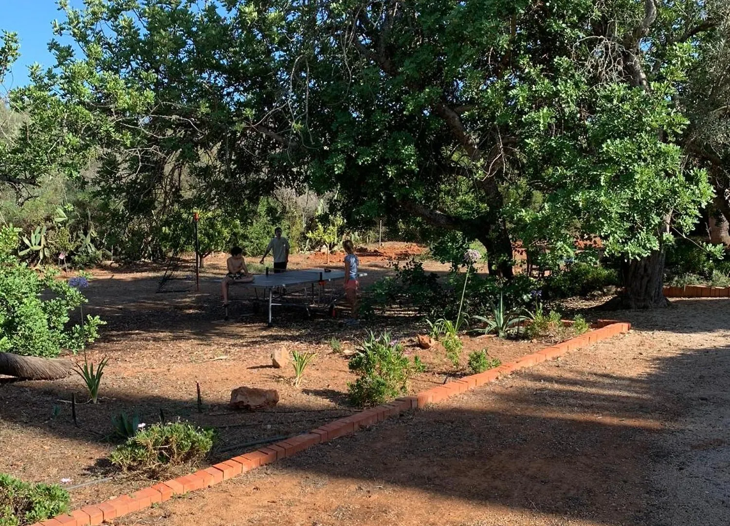 Studio De La Casa Paraiso Avec, En Plus, Une Terrasse Privative Exterieure Semi Couverte Equipee D'Un Salon D'Un Coin Repas D'Une Kitchenette, La Grande Piscine Et Les Jardins Sont Partages, A Proximite Des Plages De Fuseta Et De La Ria Formosa Moncarapacho