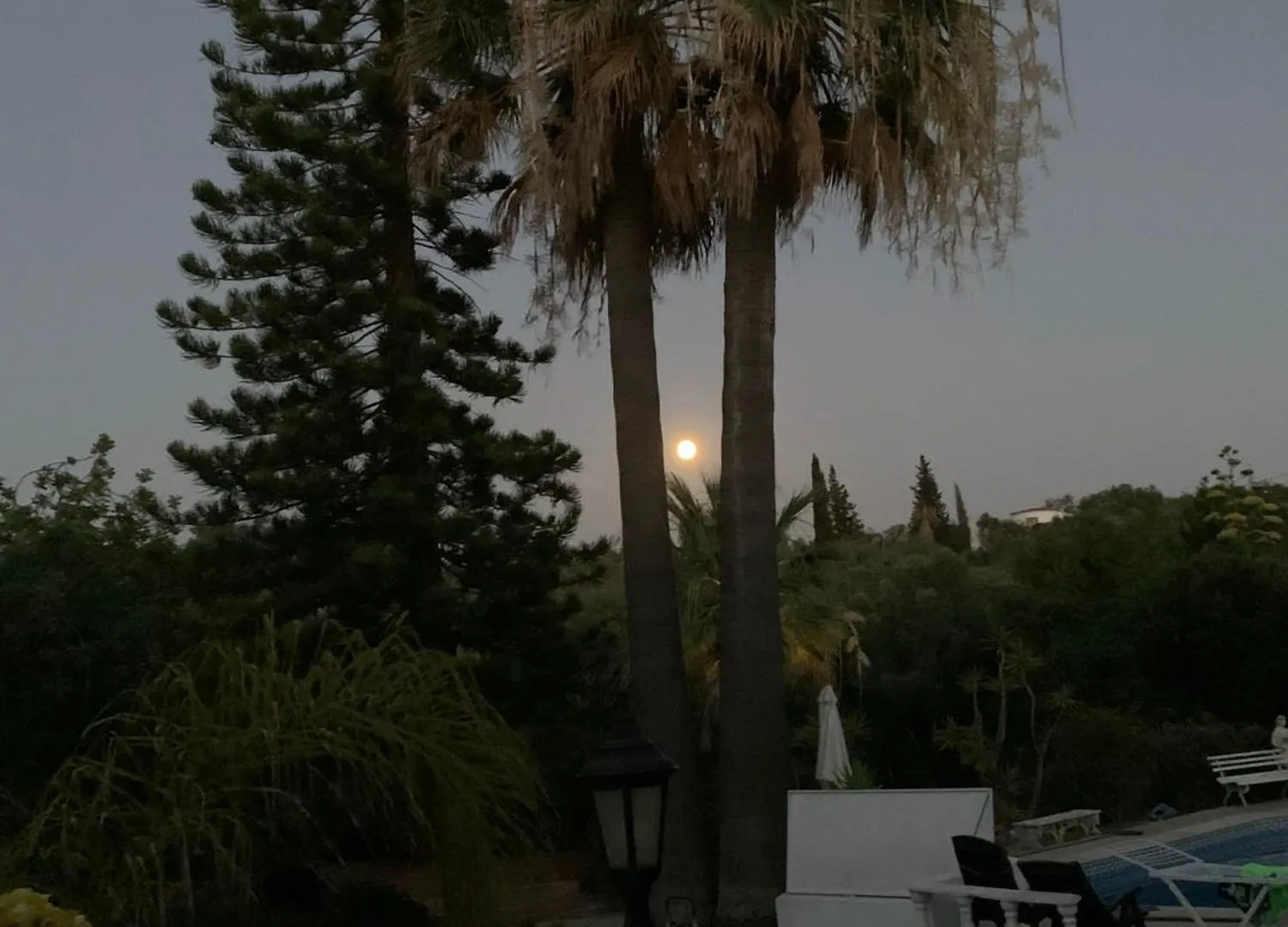 Дом отдыха Studio De La Casa Paraiso Avec, En Plus, Une Terrasse Privative Exterieure Semi Couverte Equipee D'Un Salon D'Un Coin Repas D'Une Kitchenette, La Grande Piscine Et Les Jardins Sont Partages, A Proximite Des Plages De Fuseta Et De La Ria Formosa Монкарапашу Португалия