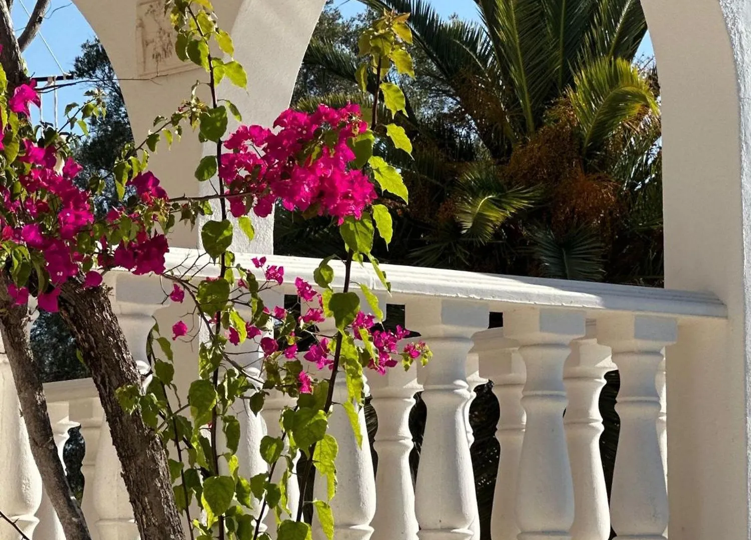 Studio De La Casa Paraiso Avec, En Plus, Une Terrasse Privative Exterieure Semi Couverte Equipee D'Un Salon D'Un Coin Repas D'Une Kitchenette, La Grande Piscine Et Les Jardins Sont Partages, A Proximite Des Plages De Fuseta Et De La Ria Formosa Moncarapacho