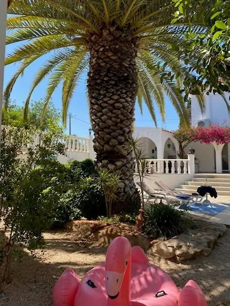 Studio De La Casa Paraiso Avec, En Plus, Une Terrasse Privative Exterieure Semi Couverte Equipee D'Un Salon D'Un Coin Repas D'Une Kitchenette, La Grande Piscine Et Les Jardins Sont Partages, A Proximite Des Plages De Fuseta Et De La Ria Formosa Moncarapacho Portugal