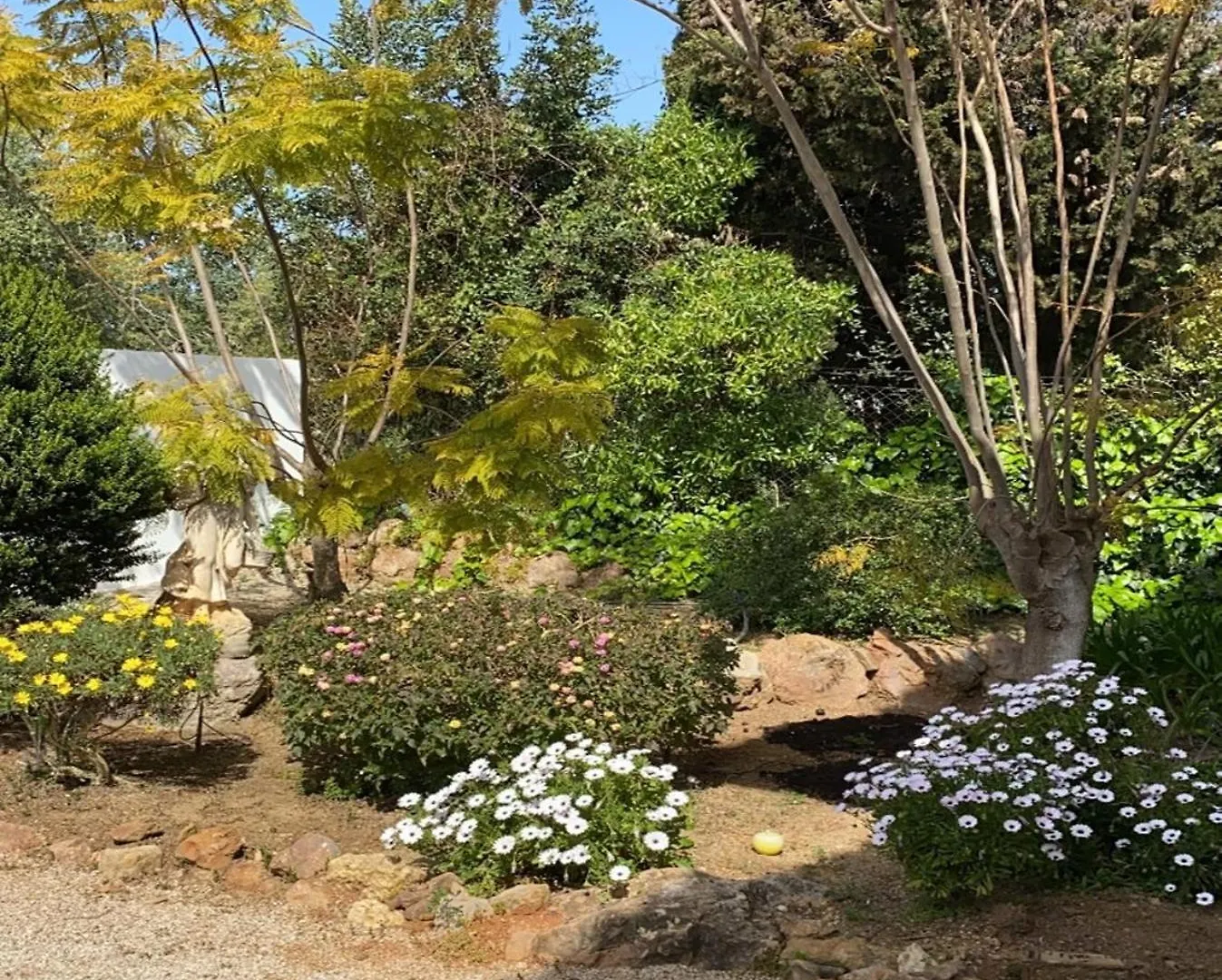 Дом отдыха Studio De La Casa Paraiso Avec, En Plus, Une Terrasse Privative Exterieure Semi Couverte Equipee D'Un Salon D'Un Coin Repas D'Une Kitchenette, La Grande Piscine Et Les Jardins Sont Partages, A Proximite Des Plages De Fuseta Et De La Ria Formosa Монкарапашу