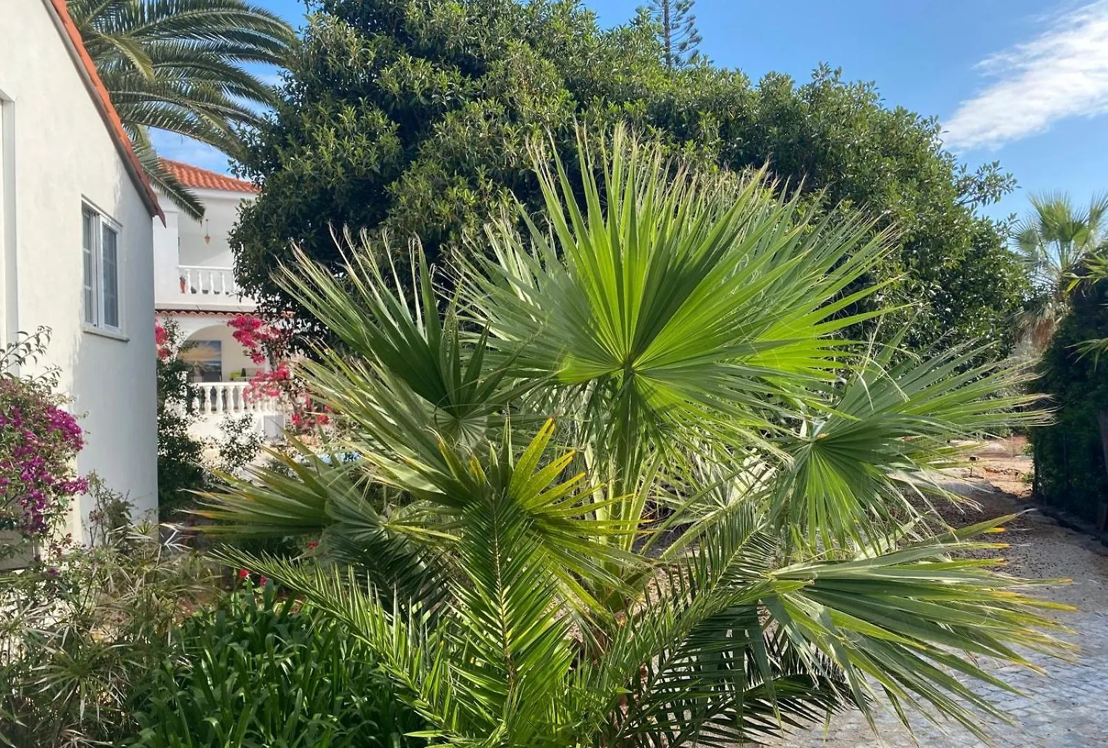 Studio De La Casa Paraiso Avec, En Plus, Une Terrasse Privative Exterieure Semi Couverte Equipee D'Un Salon D'Un Coin Repas D'Une Kitchenette, La Grande Piscine Et Les Jardins Sont Partages, A Proximite Des Plages De Fuseta Et De La Ria Formosa Монкарапашу
