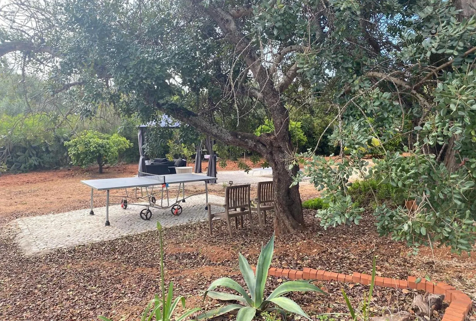 Дом отдыха Studio De La Casa Paraiso Avec, En Plus, Une Terrasse Privative Exterieure Semi Couverte Equipee D'Un Salon D'Un Coin Repas D'Une Kitchenette, La Grande Piscine Et Les Jardins Sont Partages, A Proximite Des Plages De Fuseta Et De La Ria Formosa Монкарапашу