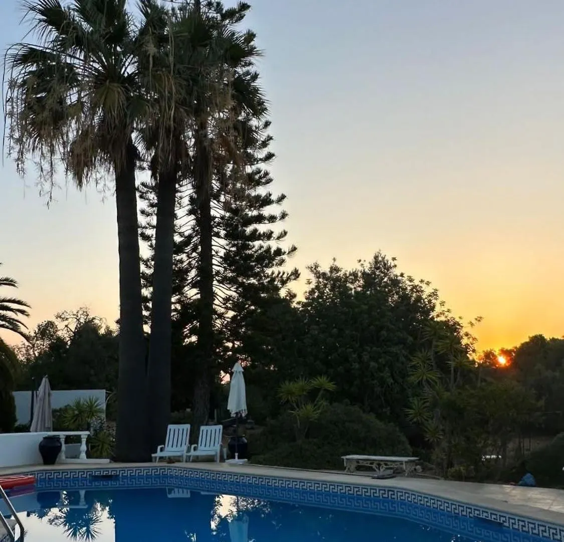 Studio De La Casa Paraiso Avec, En Plus, Une Terrasse Privative Exterieure Semi Couverte Equipee D\'Un Salon D\'Un Coin Repas D\'Une Kitchenette, La Grande Piscine Et Les Jardins Sont Partages, A Proximite Des Plages De Fuseta Et De La Ria Formosa location